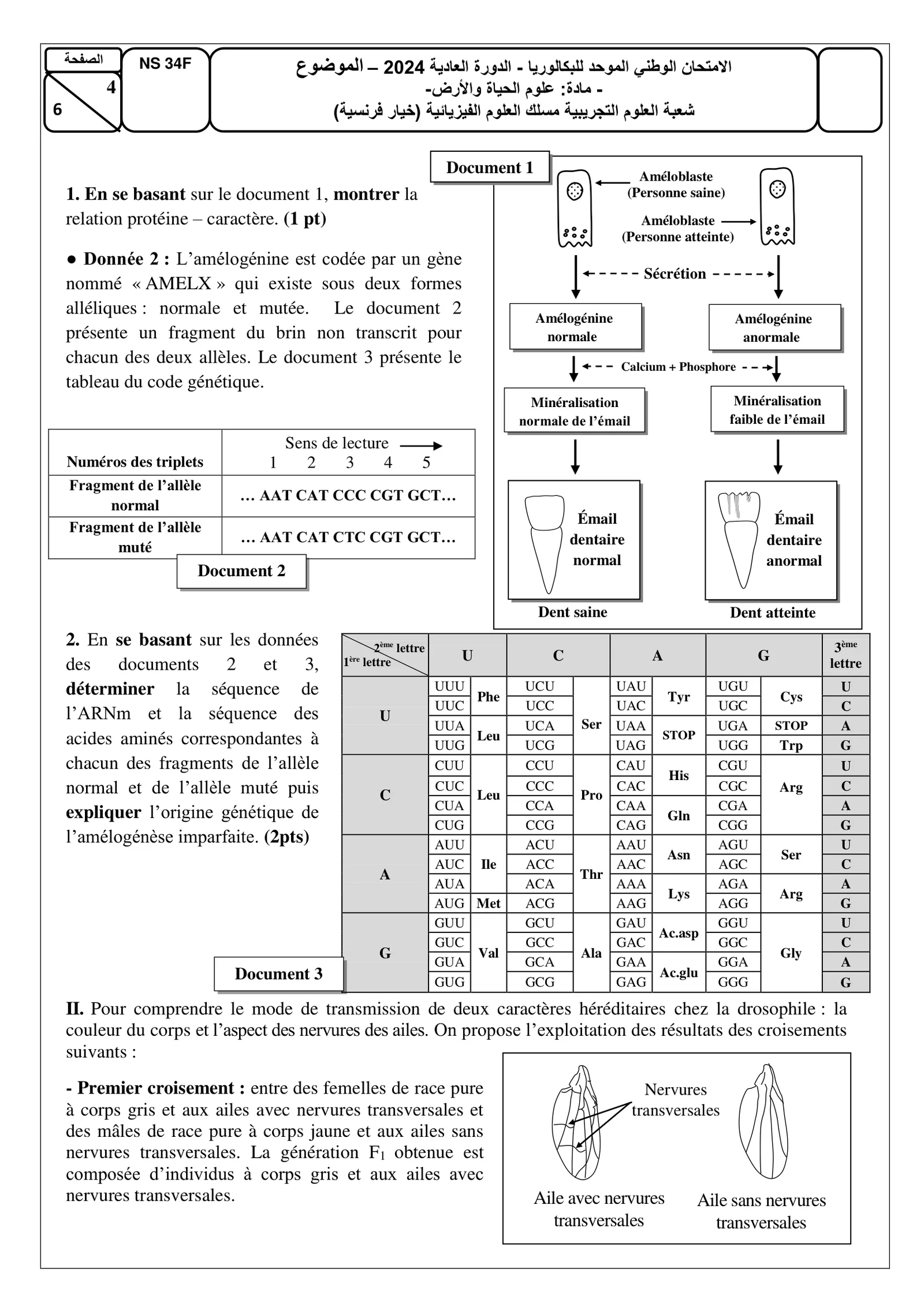 Sujet SVT Bac PC 2024 page 4
