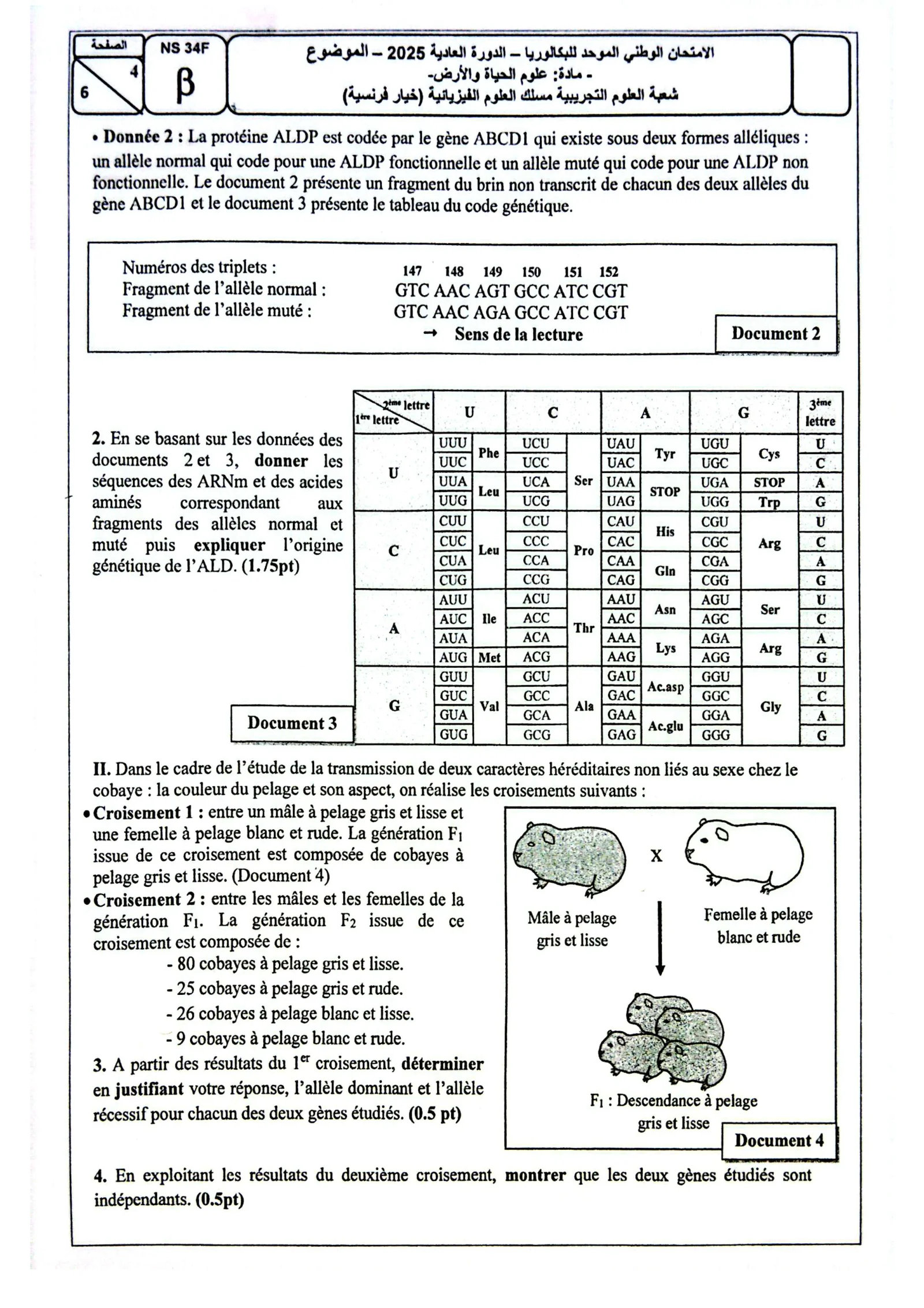 Sujet SVT Bac PC 2025 page 4