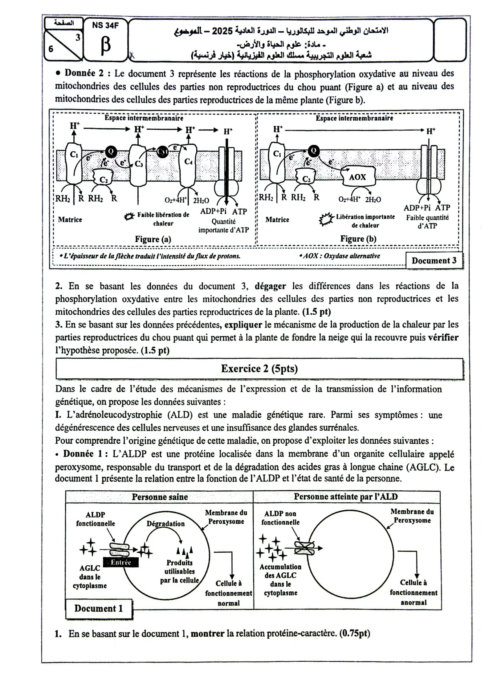 Sujet SVT Bac PC 2025 page 3