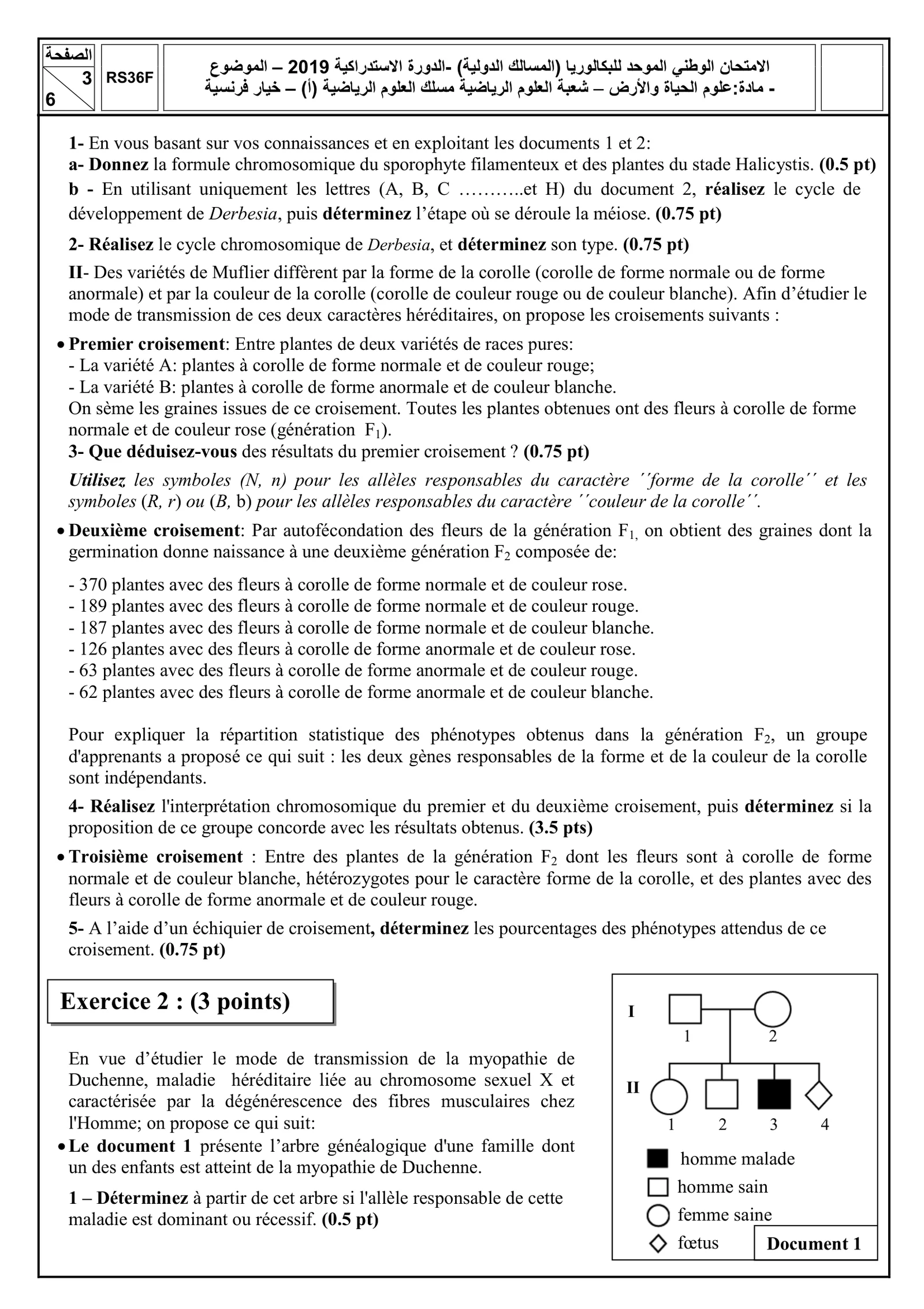 Sujet SVT Bac SM 2019 page 3