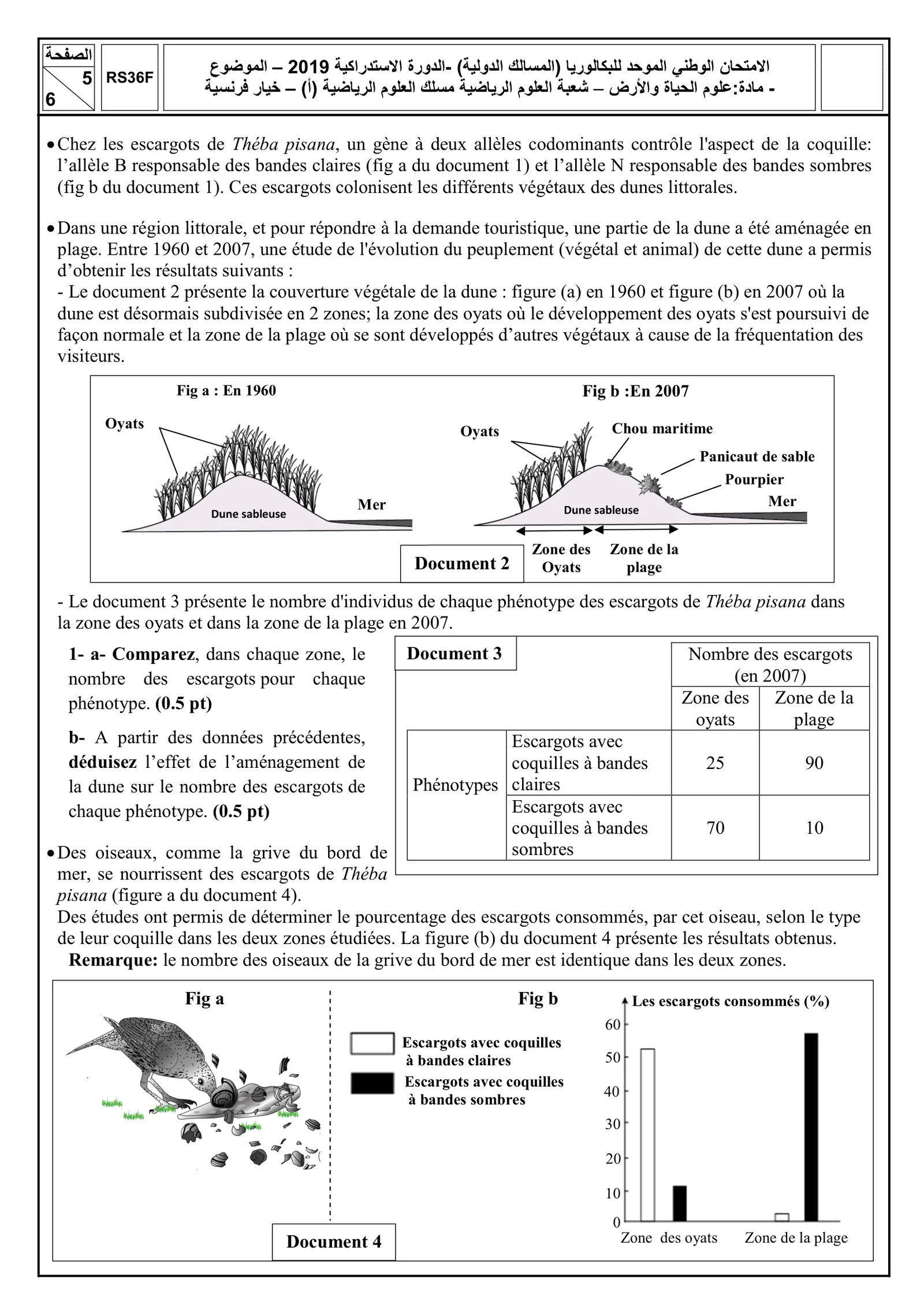 Sujet SVT Bac SM 2019 page 5