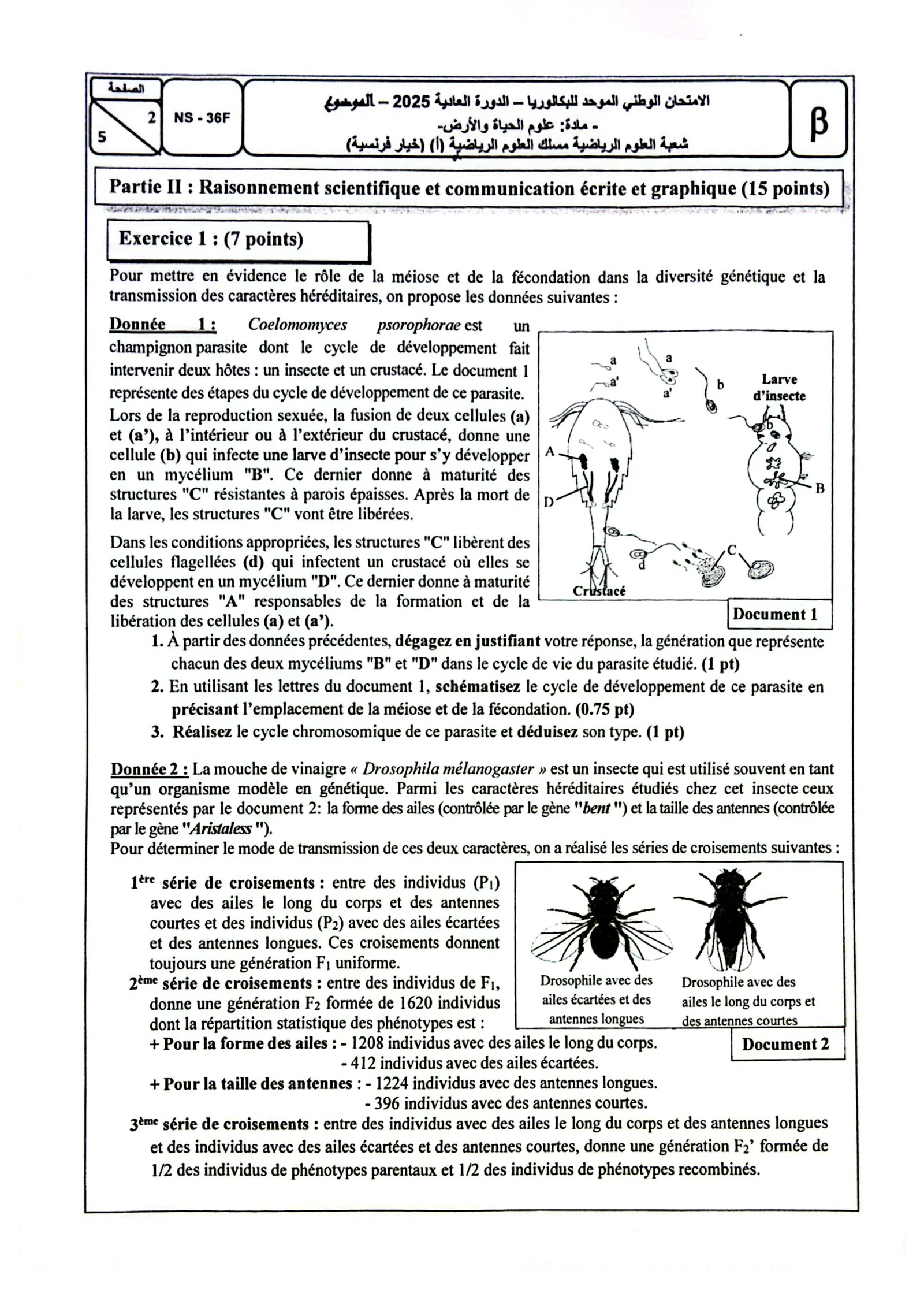Sujet SVT Bac SM 2025 page 2