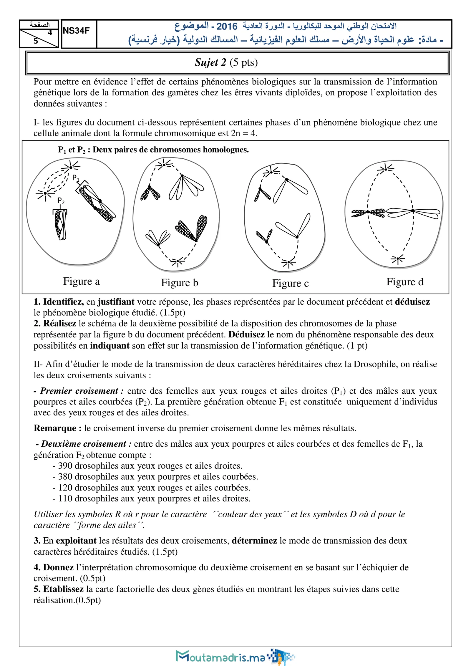 Sujet SVT Bac SVT 2016 page 4