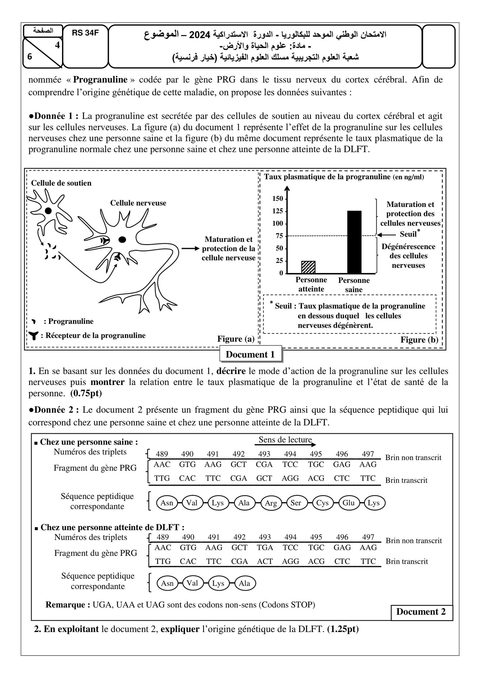 Sujet SVT Bac SVT 2024 page 4